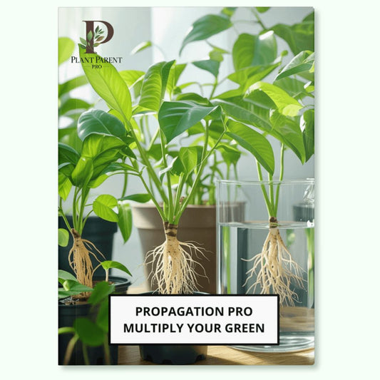 PROPAGAZIONE PRO - Moltiplica il tuo verde