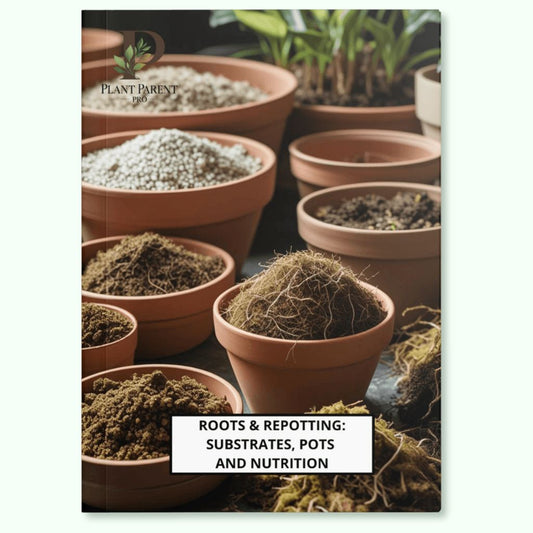 RADICI E RINVASO - Substrati, vasi e nutrizione